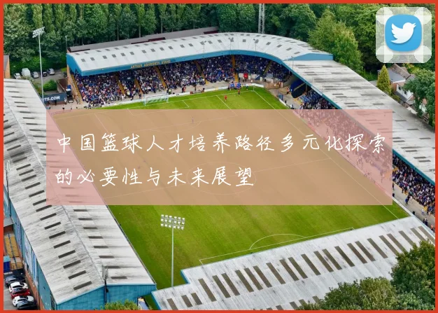 中国篮球人才培养路径多元化探索的必要性与未来展望